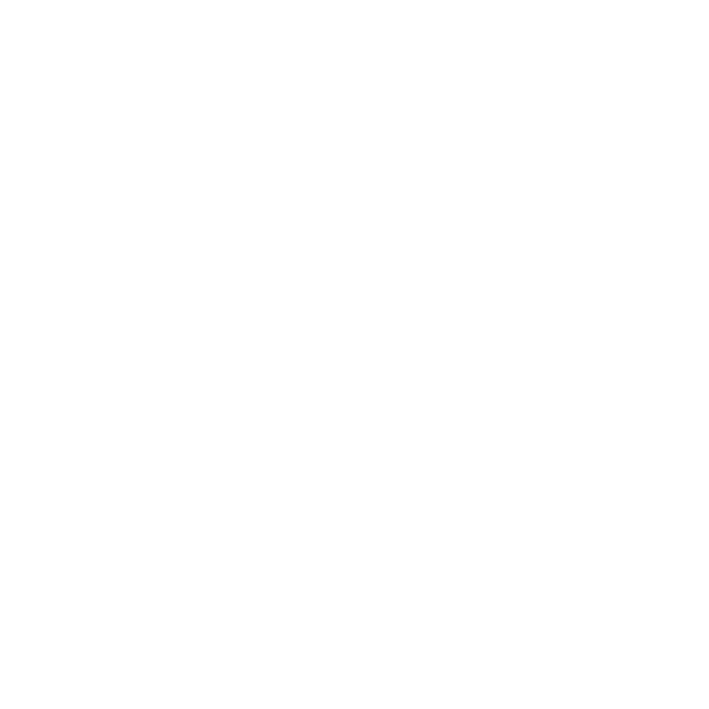 WILDPOWER Icon Projektmanagement hell